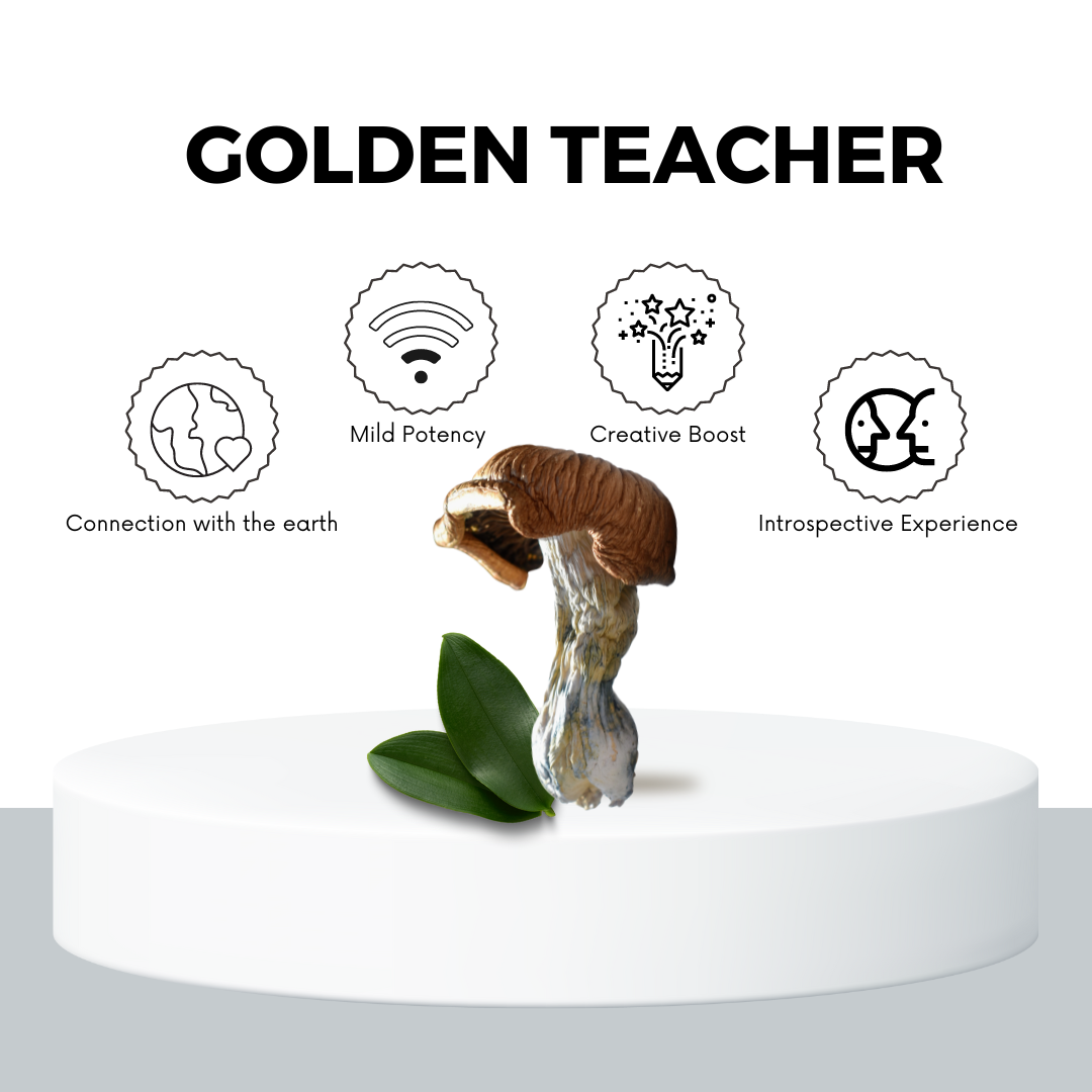 Buy Magic Mushrooms Canada