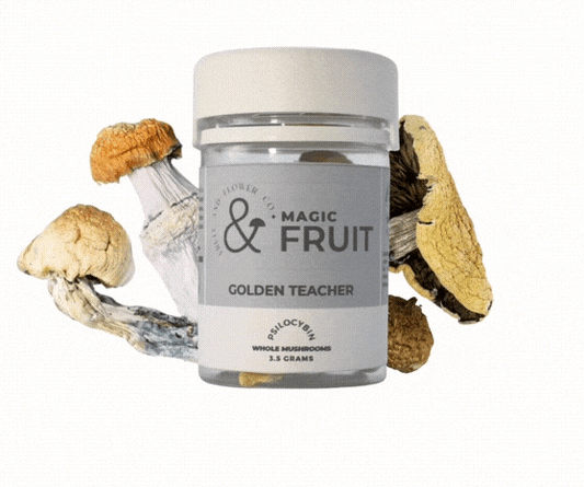 Magic Mushrooms Canada