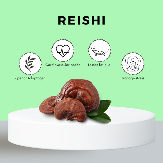 Functional mushroom superfood Microdose Canada