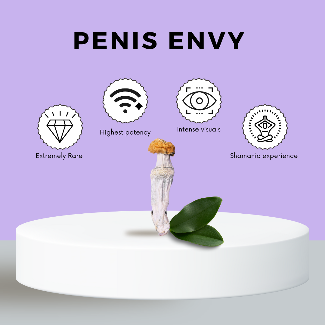 Penis Envy Mushrooms Canada